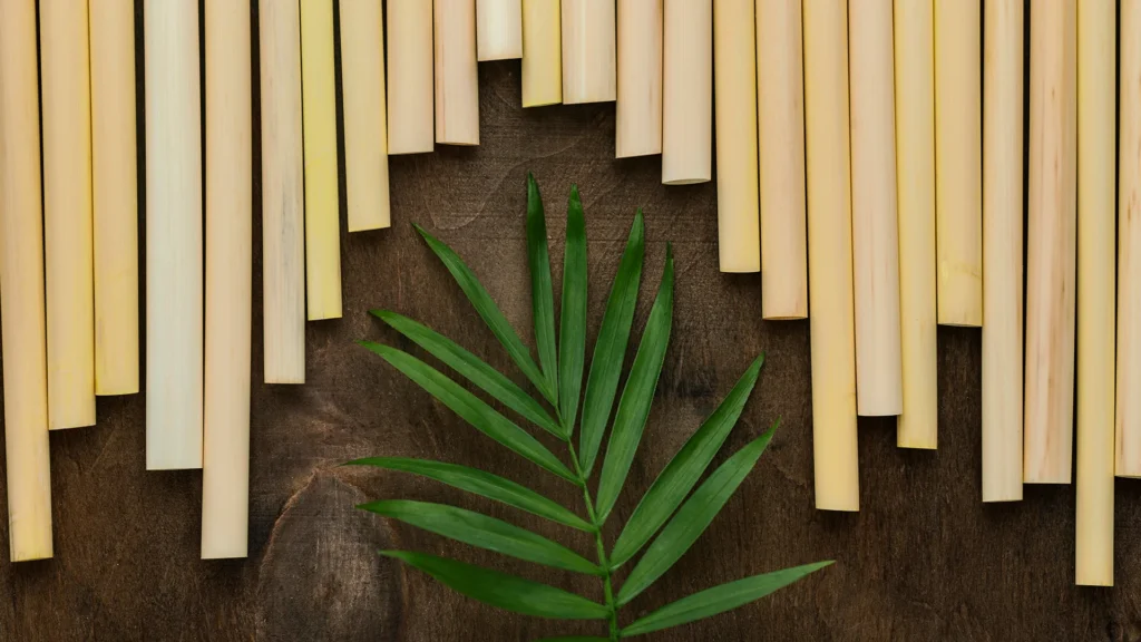 BambooFashion2